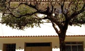 Imagem: FESTIVAL DE ALEGRE - ALUGO