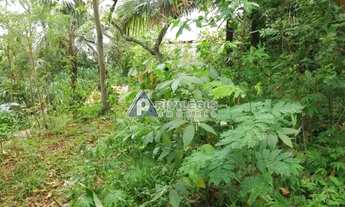 Imagem 7: EXCELENTE LOTE DE TERRENO NO JARDIM BOTANICO