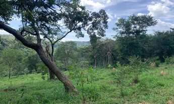 Imagem 2: Chácara 10.000m² com cachoeira de aguas cristalinas nos fundos, Jaboticatubas