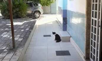 Imagem 4: ENTRAR E MORAR Casa com 3 dormitórios