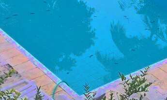 Imagem 3: Chácara Exclusiva em Condomínio Fechado