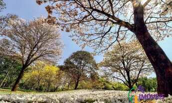 Imagem 3: CASA EM CONDOMÍNIO - ALPHAVILLE - SP