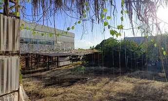 Imagem 5: Galpão em Palmas. Área industrial de Taquaralto