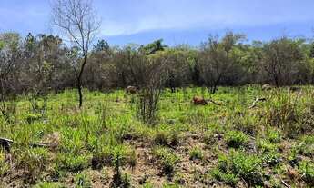 Imagem 7: PAZ E TRANQUILIDADE PERTINHO DE TERRA PRETA! TERRENOS PLANOS Centro - Atibaia - SP