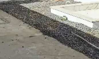 Imagem 3: Realize o sonho da casa própria no Papagaio moderna e acessível!