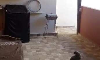 Imagem 6: Casa frente ao mar em Jauá