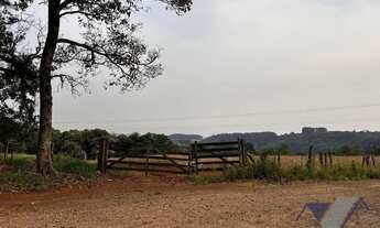 Imagem 7: Área à venda, 247900 m² por R$ 3.000.000,00 - Paris - Guaraniaçu/PR