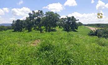 Imagem 2: Fazenda à venda em distrito da Guia - MT