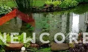 Imagem 7: Apartamento em Rua Dona Maria Máximo - Ponta da Praia - Santos/SP