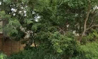 Imagem 2: Lote na 1007 sul