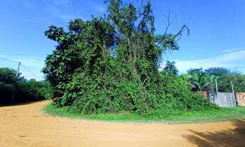 Imagem 7: /Lote com 1020 M2 próximo à Paricatuba