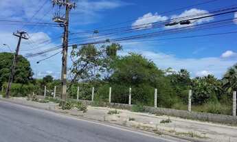 Imagem 3: Terreno à venda, 9435 m² por R$ 5.000.000,00 - Ancuri - Fortaleza/CE