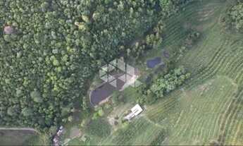 Imagem 6: Chácara (pomar) de 13,12ha na Linha 10 de Julio em Antonio Prado