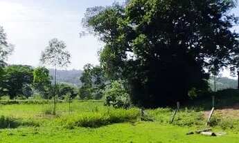Imagem 6: Chácara 20 hectares, 4 açudes grande, arroio, Rio, potreiro cercado