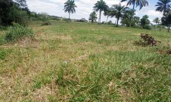 Imagem 2: Vendo excelente sítio no município de Jaguaripe o