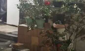 Imagem 2: Casa a venda R$56,500