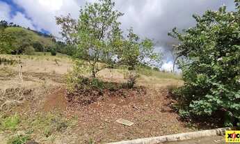 Imagem 4: Terreno para Venda em Picada Café, São João