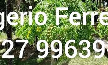 Imagem 4: Venda Luxuosa Chácara - Retiro do Congo?