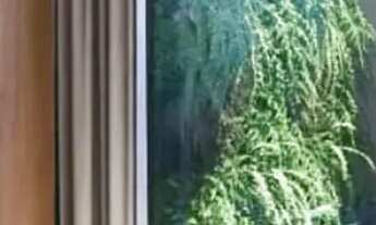 Imagem 7: Exclusividade e Alta Rentabilidade no Coração de Porto de Galinhas!