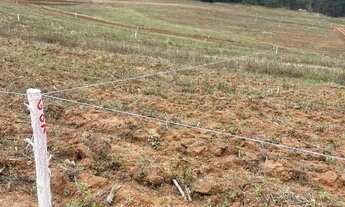 Imagem 6: Imóvel para venda com 500 metros quadrados em Altos de Caucaia (Caucaia do Alto) - Cotia