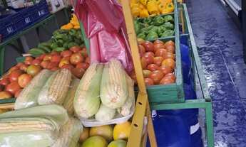 Imagem 4: Vendo Hortifruti/ sacolão