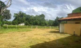 Imagem 3: Sitio com 16 hectares, sendo 12 hectares formadas, 59 km da cidade de Várzea Gra