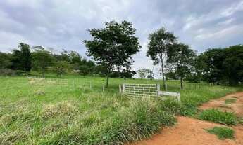 Imagem 7: VENDE-SE CHACARA NO MUNICIPIO DE AVELINOPOLIS-GO COM 2 ALQUEIRES