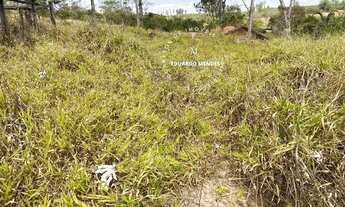 Imagem 6: Chácara C/ 35.000m², quase 1 alqueire, córrego, casa, pomar, 10 km de Abadiânia GO