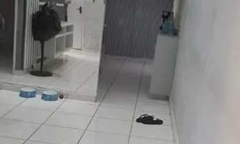 Imagem 3: Alugo apartamento de 2 dormitórios no Condomínio Conquista Torquato