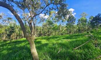 Imagem 5: Terreno próximo ao centro de Juquitiba
