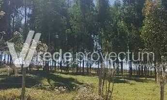 Imagem 5: Terreno - Bonfim - Paulínia