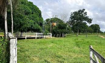 Imagem 2: Sitio com 16 hectares, sendo 12 hectares formadas, 59 km da cidade de Várzea Gra