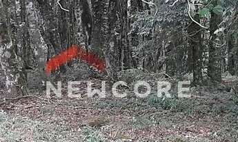 Imagem 3: Lote em condomínio em Avenida Villagio - 2Mato Queimado - Gramado/RS