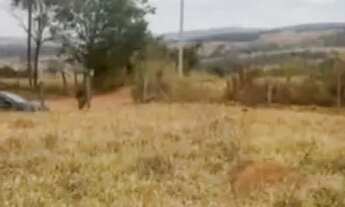 Imagem 3: Lote em Caldazinha, para Pedro