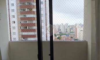 Imagem 3: OPORTUNIDADE! LINDO APARTAMENTO - 67 metros quadrados com 3 quartos em Vila Gumercindo - S