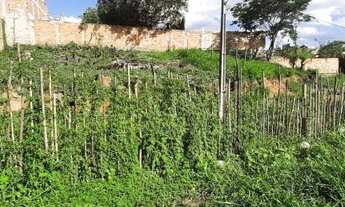 Imagem 5: Terreno à venda, 411 m² por R$ 95.000,00 - Florença - Ribeirão das Neves/MG