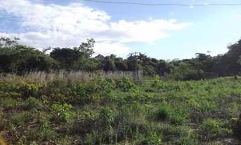 Imagem 7: Chacara 9.500m² com um barracão, muita água, terra boa/Jaboticatubas, temos varias opções