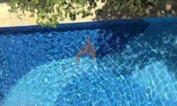 Imagem 2: Apartamento com 3 dorms, Bosque da Saúde, São Paulo - R$ 960 mil, Cod: 3154