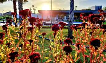 Imagem 3: Nós temos os melhores lotes do mercado