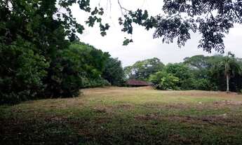 Imagem 5: Terreno - Cacupé - Florianópolis