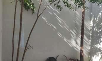 Imagem 10: Casa com quintal e AMPLA na Pedra de Guaratiba