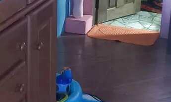 Imagem 5: Barato Casa com 2 dormitórios