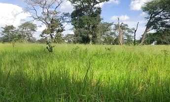 Imagem 6: Fazenda de 8.728 hectares em Serranopolis-GO