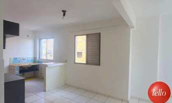 Imagem 3: São Paulo - Apartamento Padrão - Jabaquara