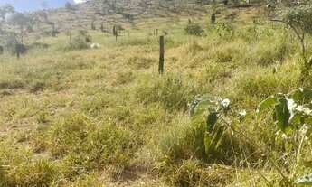 Imagem 5: Chácara Bairro Santa Paula