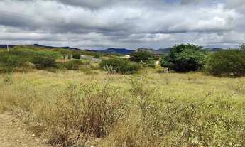 Imagem 7: Vendo terreno para chácara próximo a serra talhada