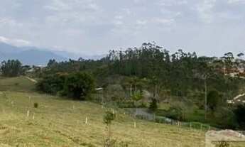 Imagem 5: CANELINHA - Terreno Padrão - Centro