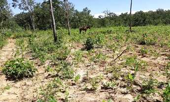 Imagem 4: Fazenda Uruaçu - Serra da Mesa - 26 alq