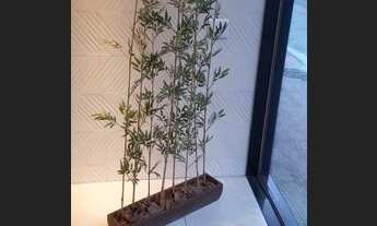 Imagem 4: Apartamento com 3 quartos , garagem em Parque Moscoso - Vitória - ES