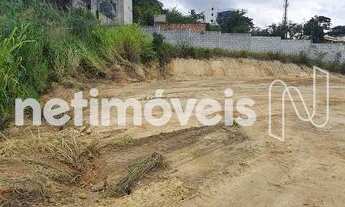 Imagem 6: Venda Lote em condomínio Tropical Contagem